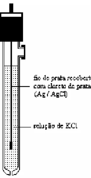 Figura 2.2 – Eléctrodo de Prata/ Cloreto de Prata 