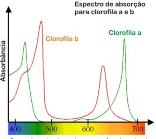 Fig. 11- Intervalo do espectro de luz usado na fotossíntese 
