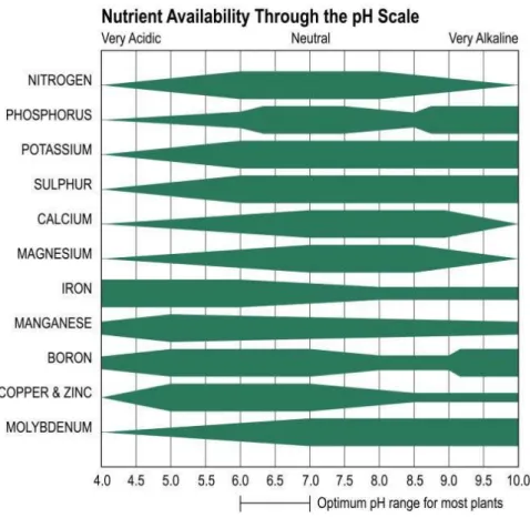 Fig. 12 - Disponibilidade de nutrientes na escala de pH  Fonte: (Roberto, 1994) 