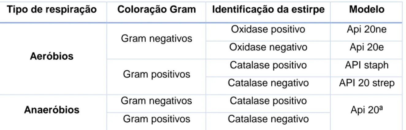 Tabela 5 – Teste de identificação bioquímica segundo a estirpe de bateria. 