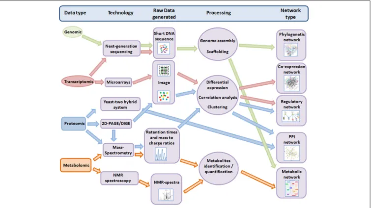 FIGURE 1 | Overview of the workflow from different “omic”