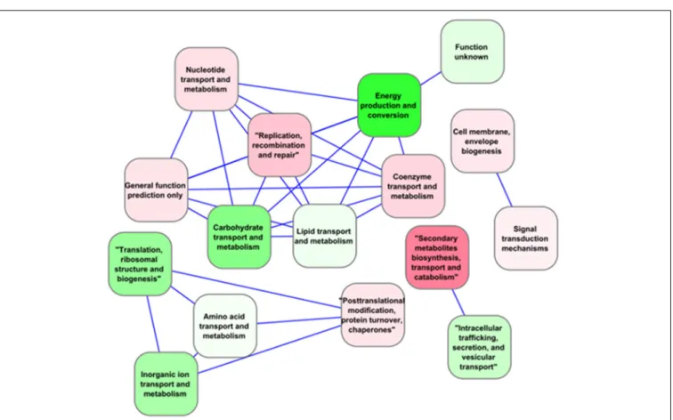 FIGURE 3 | Correlation network for functional categories (as defined by Falkowski, 2012) based on the expression of “core” genes in