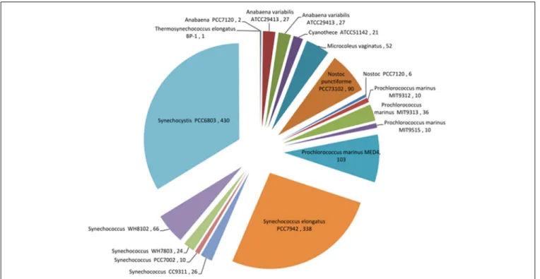 FIGURE 4 | Pie chart showing records of expression data for different cyanobacteria that are currently available in the Gene Expression Omnibus (GEO) database (http://www.ncbi.nlm.nih.gov/geo/).