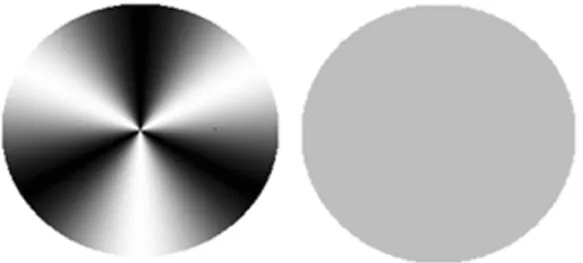 Figure 1. Example of angular grating stimulus of spatial frequencies of 3 cycles/