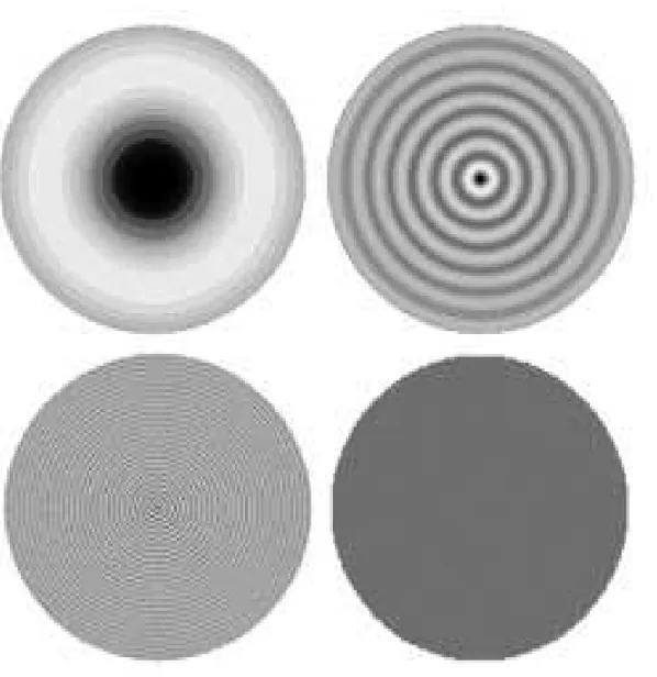 Figure 1. Examples of stimuli sinusoidal radial gratings (above, left to right, and 0.25 cpd and 2; below, from left to right, 8 cpd and neutral stimulus with luminance homogeneous)
