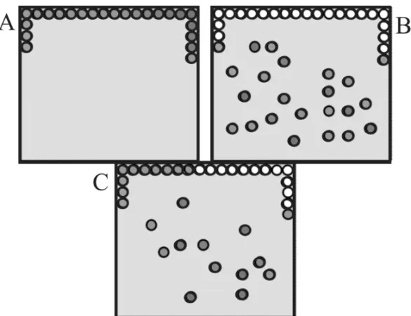 Figure 2. Scheme of FM-100 hue test. (A) Original ordering of the caps showing a gradual change in the hue information