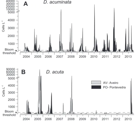 Fig. 3. Interannual variability of (A) Dinophysis acuminata and (B) Dinophysis acuta cell concentration at Aveiro (AV) and Pontevedra (PO) stations, from 18 May 2004 to 31 December 2013.