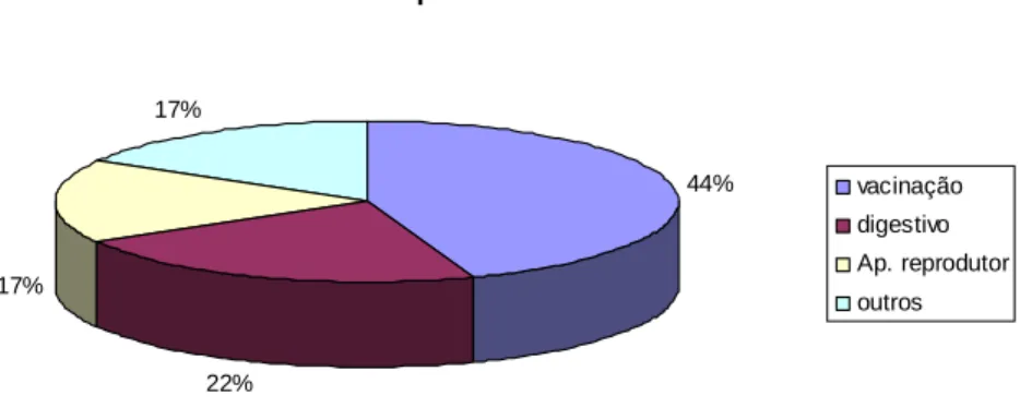 Gráfico 2.6 – Clínica de equídeos/asininos ocorrida durante o período de estágio 