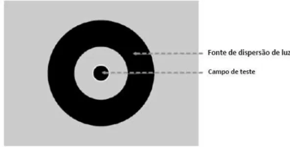 Figure 2. Example of the test screen of the intraocular light dispersion quantifier based on the Direct Comparison method (adapted from Franssen &amp; Coppens, 2007).