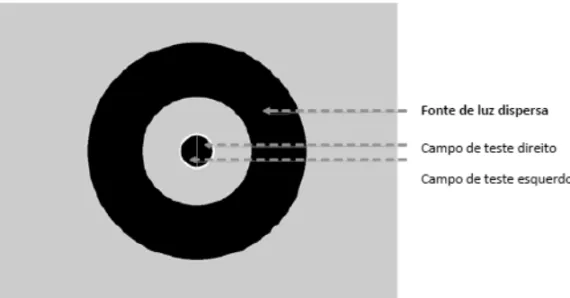 Figure 4. Example of the test screen in the compensation comparison method (adapted from Franssen &amp; Coppens, 2007).