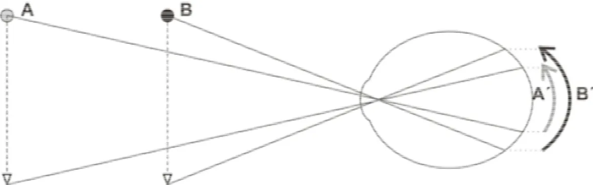 Figura 1. Gráfico en el que se muestra como se proyectan en la retina los movimien- movimien-tos de dos cuerpos, A y B, situados a diferentes distancias del observador