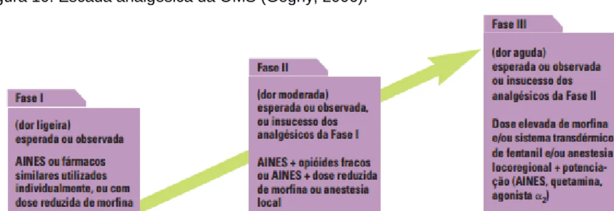 Figura 10: Escada analgésica da OMS (Gogny, 2006). 