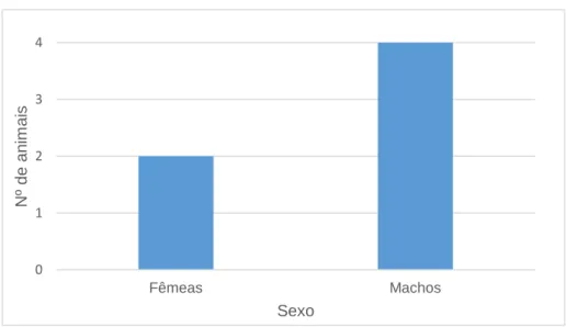 Gráfico 1: Frequência absoluta dos animais da amostra em relação ao sexo. 