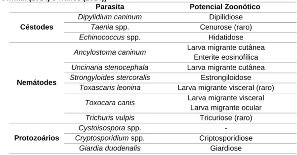 Tabela 1 - Potencial zoonótico dos principais parasitas gastrointestinais dos cães (Adaptado  de Bowman (2014) e Nunes (2014))