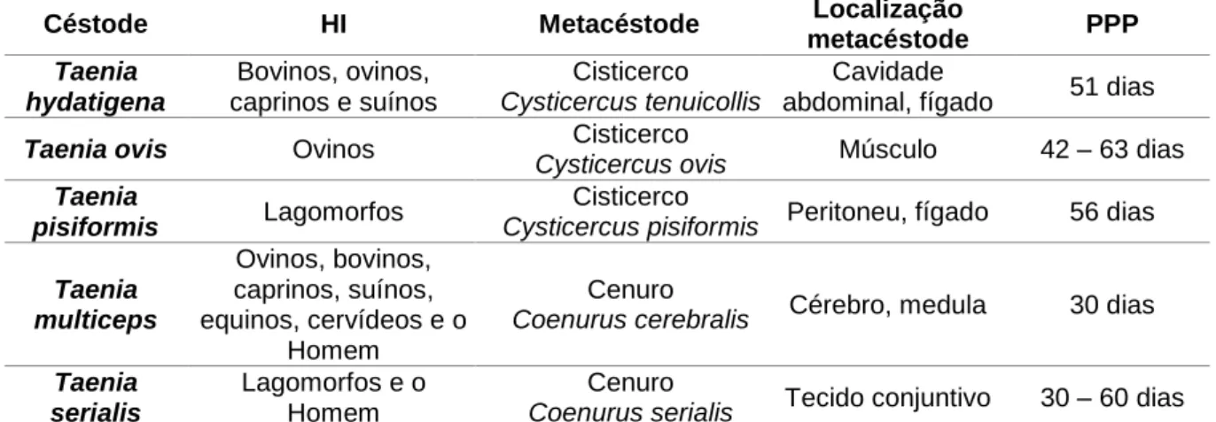 Tabela  2  –  Taenia  spp.  com  os  seus  respectivos  hospedeiros  intermediários,  metacéstodes,  localização dos metacéstodes e período pré-patente (Adaptado de Taylor et al