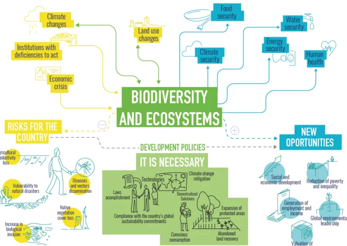 Figure 1. Brazilian Platform on Biodiversity and ecosystem Services framework.