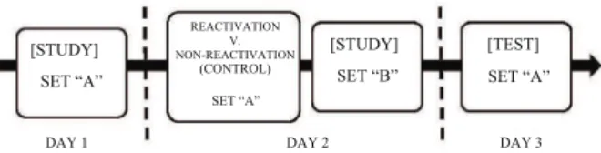 Figure 1. Basic scheme of a reconsolidation experiment with  humans. 