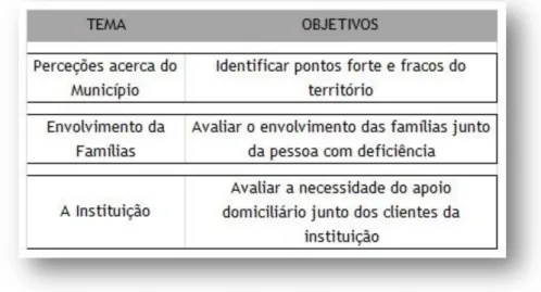 Tabela 2 - Estrutura da Entrevista APPACDM 