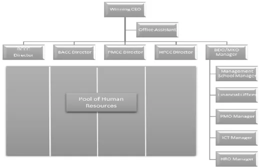 Figure 5 - Winning Management Consultancy Organizational Breakdown Structure 