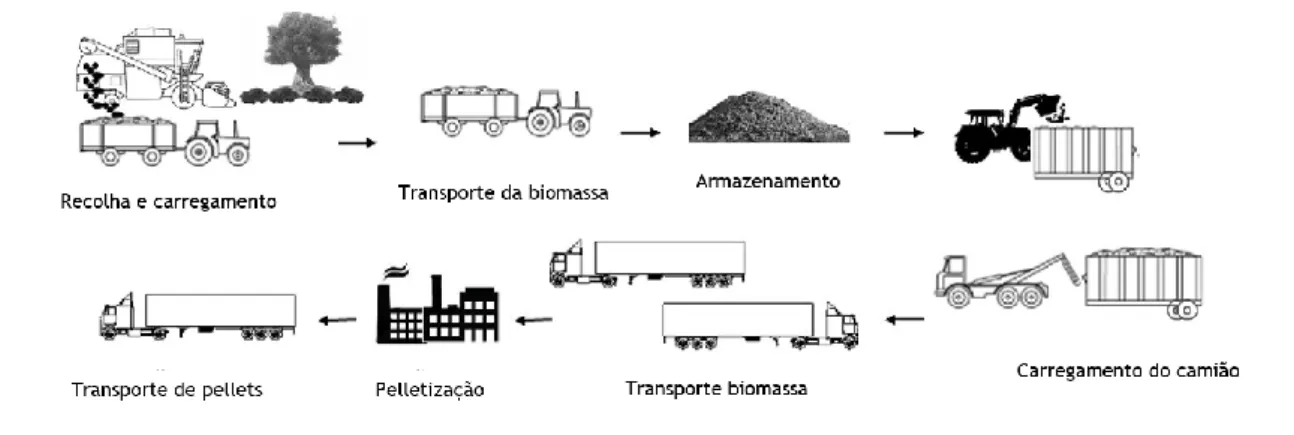 Figura 3- Cadeia logística considerada na pelletização de biomassa florestal (Sánchez, Curt, Sanz, &amp; 