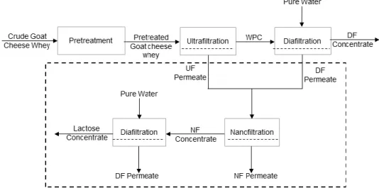 Figure 1. Schematic representation of the processes involved in this work. 