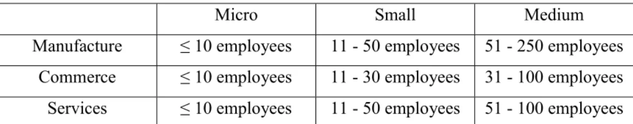 Table 4: Criteria for small and medium enterprises for MERCOSUR founding countries 