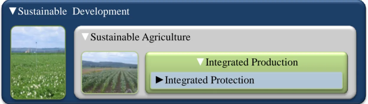 FIGURE 2.6: Levels of integration between Sustainable Development and Integrated Protection (ANIPLA, 2008)