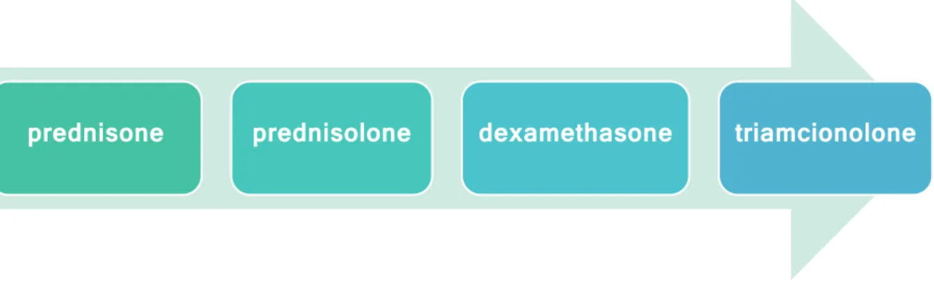 Fig. 11 – Systemic corticosteroids for severe EAS treatment ordered according to their potency.