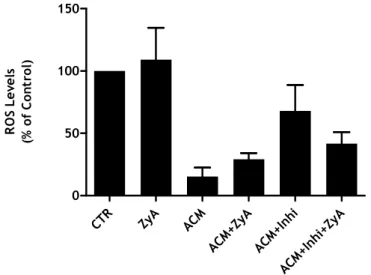 Figure  11:  Effect  of  p38  inhibitor  on  microglial  activation  induced  by  ZyA
