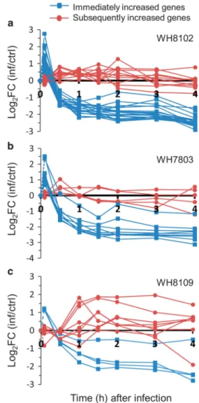 Figure 7 Temporal transcriptional profiles of host genes with an increase in transcript levels following Syn9 infection