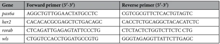 Table 1.  Primer sequences used to isolate zebrafish pax6a, her2, rorab and wls cDNA.