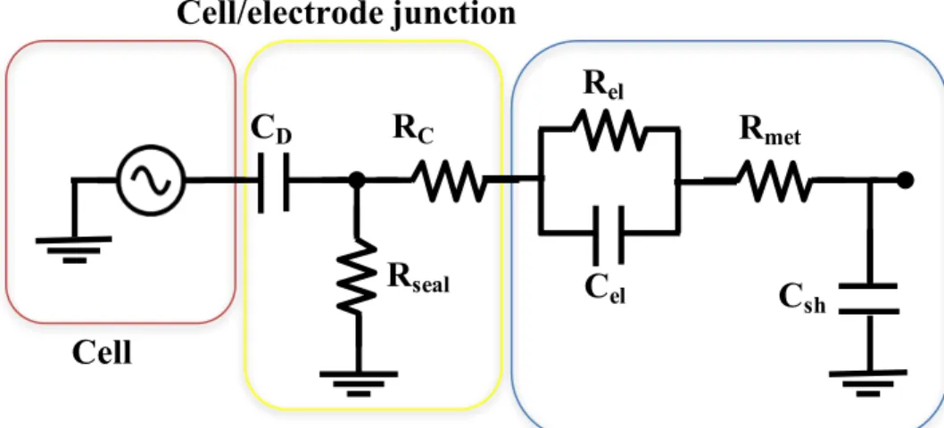 Fig. 4: Equivalent circuit of an electrode-neuron interface.