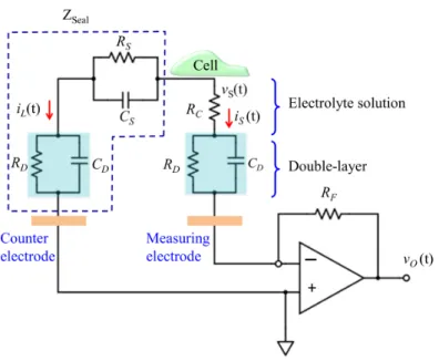 Fig.  5:  Schematic  diagram  representing  the  electrical  coupling  between  the  cell  and  the  measuring  circuit
