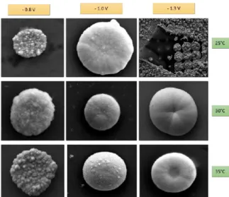 Fig. 17: Top view of the produced gold-mushroom microelectrode using different temperatures and  potentials