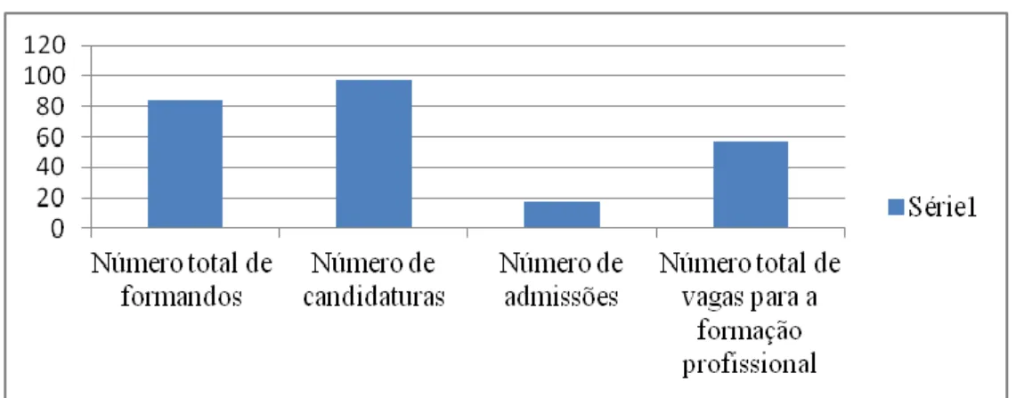 Figura 2: Parcerias com o centro de formação profissional 