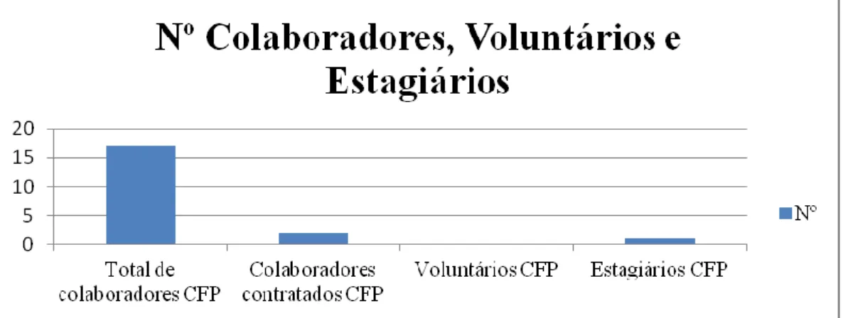 Figura 3: Colaboradores contratados, estagiários e voluntários para o centro de formação profissional 