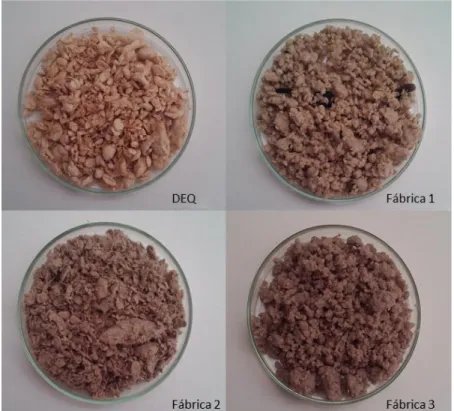 Figura 2.1: Diferentes biomassas lenho-celulósicas usadas nos ensaios SSF. 