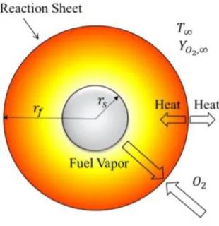 Figure 1.4: Schematic of a single droplet burning. 
