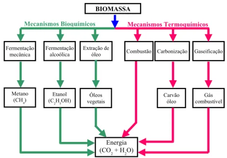 Figura 2.4 – Principais processos de conversões de biomassa em energia (modificado – Girard et al