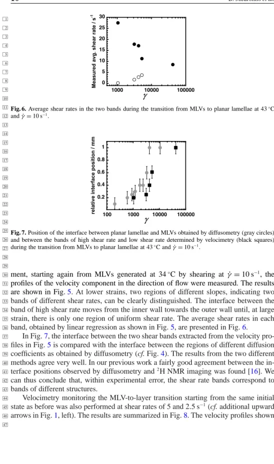 Fig. 6. Average shear rates in the two bands during the transition from MLVs to planar lamellae at 43 ◦ C and γ˙ = 10 s −1 .