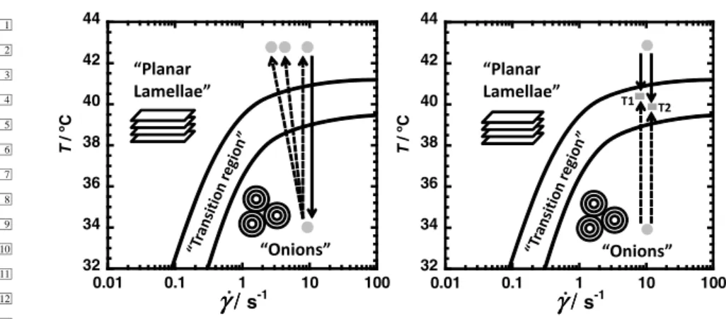 Fig. 1. Shear diagram of the system C 10 E 3 /D 2 O (40 % w/w surfactant) [30] showing the stability regions of planar lamellae and MLVs (onions) and the initial and final states of the “jump” experiments
