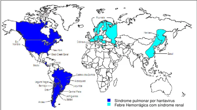 Figura 3 – A distribuição geográfica dos hantavirus identificados até 2004 (adaptado  de Enria &amp; Levis, 2004)