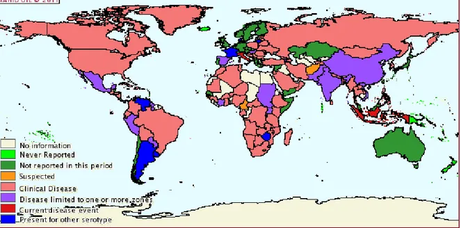 Figura  5  –  Distribuição  geográfica  mundial  da  Raiva  em  2009  (Julho  a  Dezembro)