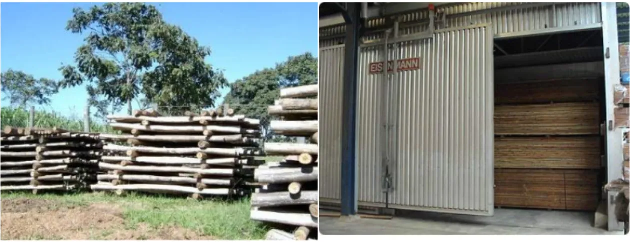 Figura 2.2: Processo de secagem natural e artificial Fonte:  http://carpintaria.etc.br