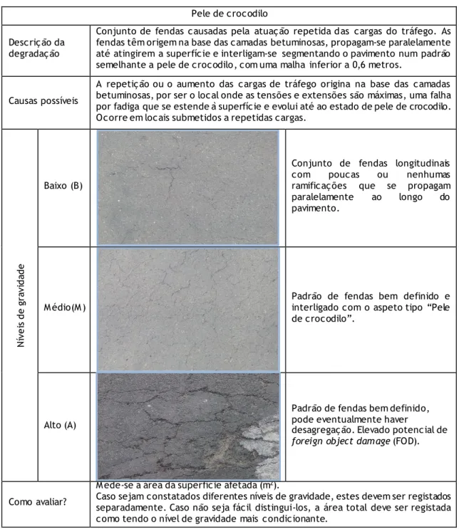 Tabela 3.1  - Caracterização da degradação: Pele de crocodilo. 