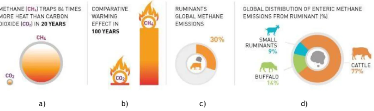 Figura 1 – Estatísticas acerca da emissão de metano por parte dos ruminantes [2]. 