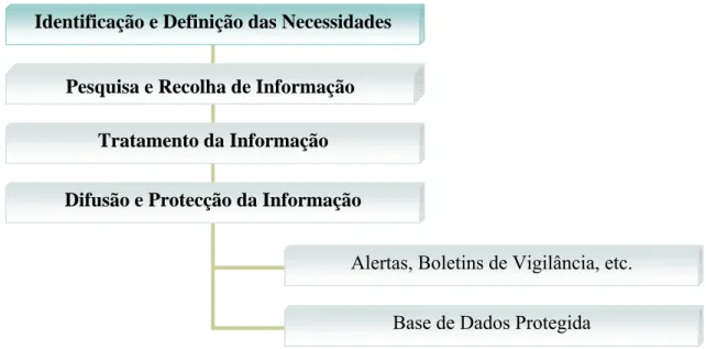 Figura 8 – Difusão e Protecção da Informação