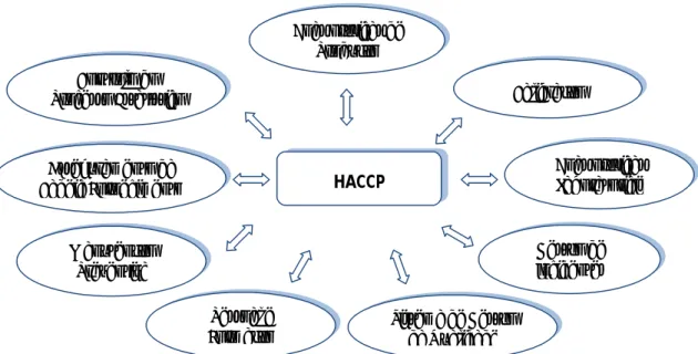Figura 1 - Pré-requisitos para o sistema HACCP (Mortimore, S., Wallace, C., 1998)