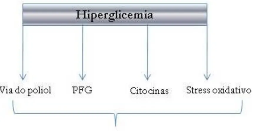 Figura 2 – E squem a resum o da fisiopatologia da neuropatia diabética. 