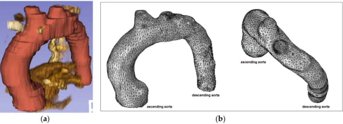 Figure 8. Healthy patient (pilot): (a) CT data and segmentation; and (b) mesh. 